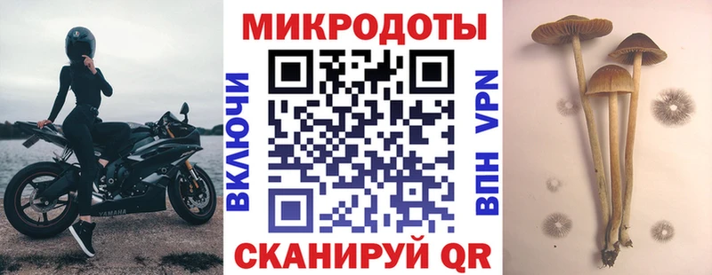 Купить закладки  Олёкминск  Псилоцибиновые грибы прущие грибы 